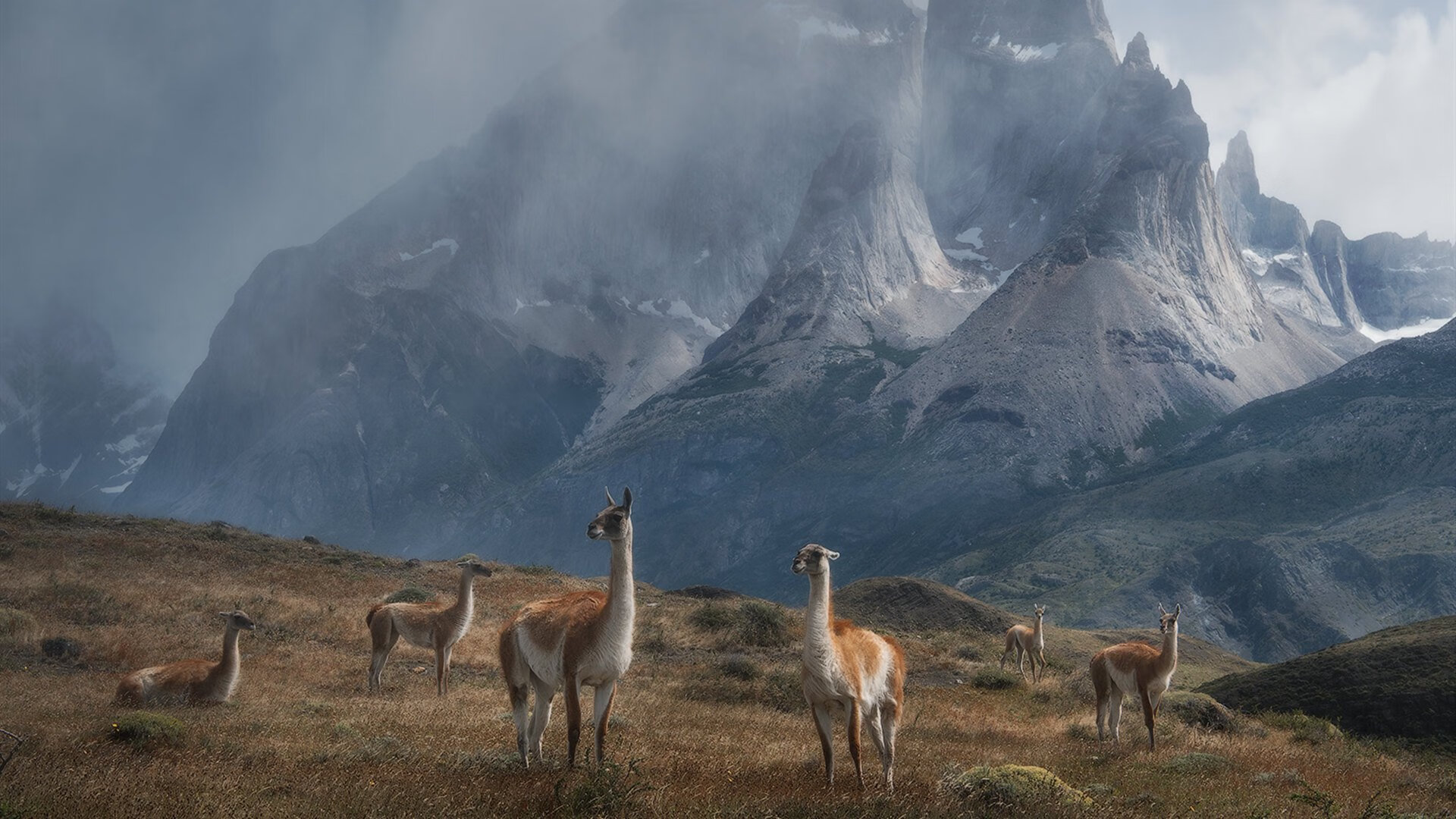 冷门与辉煌,墨西哥爆冷亚特兰大,厄德高打出统治级数据
