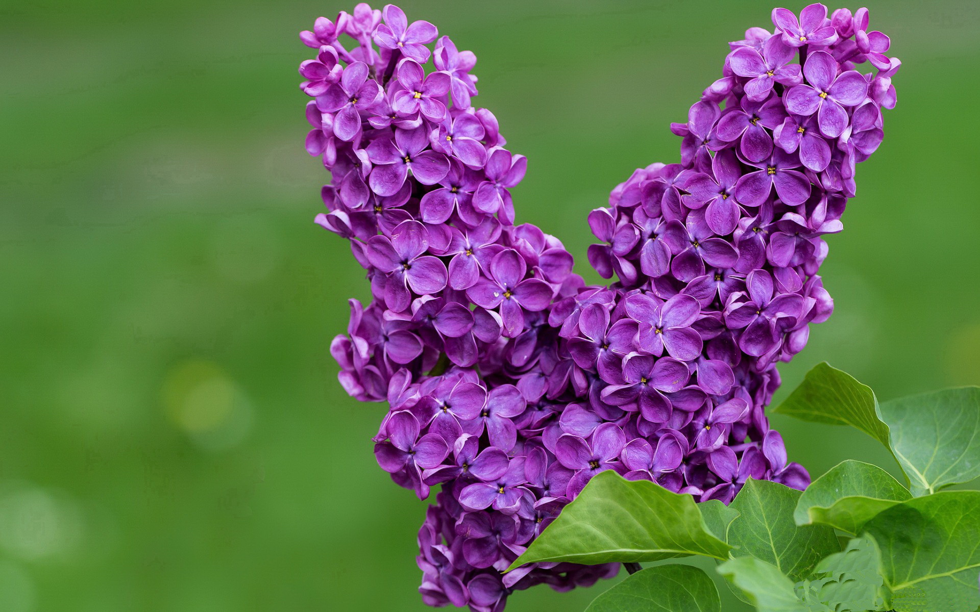 约基奇末节导演逆转风暴，快船双星黯然失色成背景板