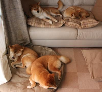 保罗一手掌控比赛走势，火箭力克快船的关键之战