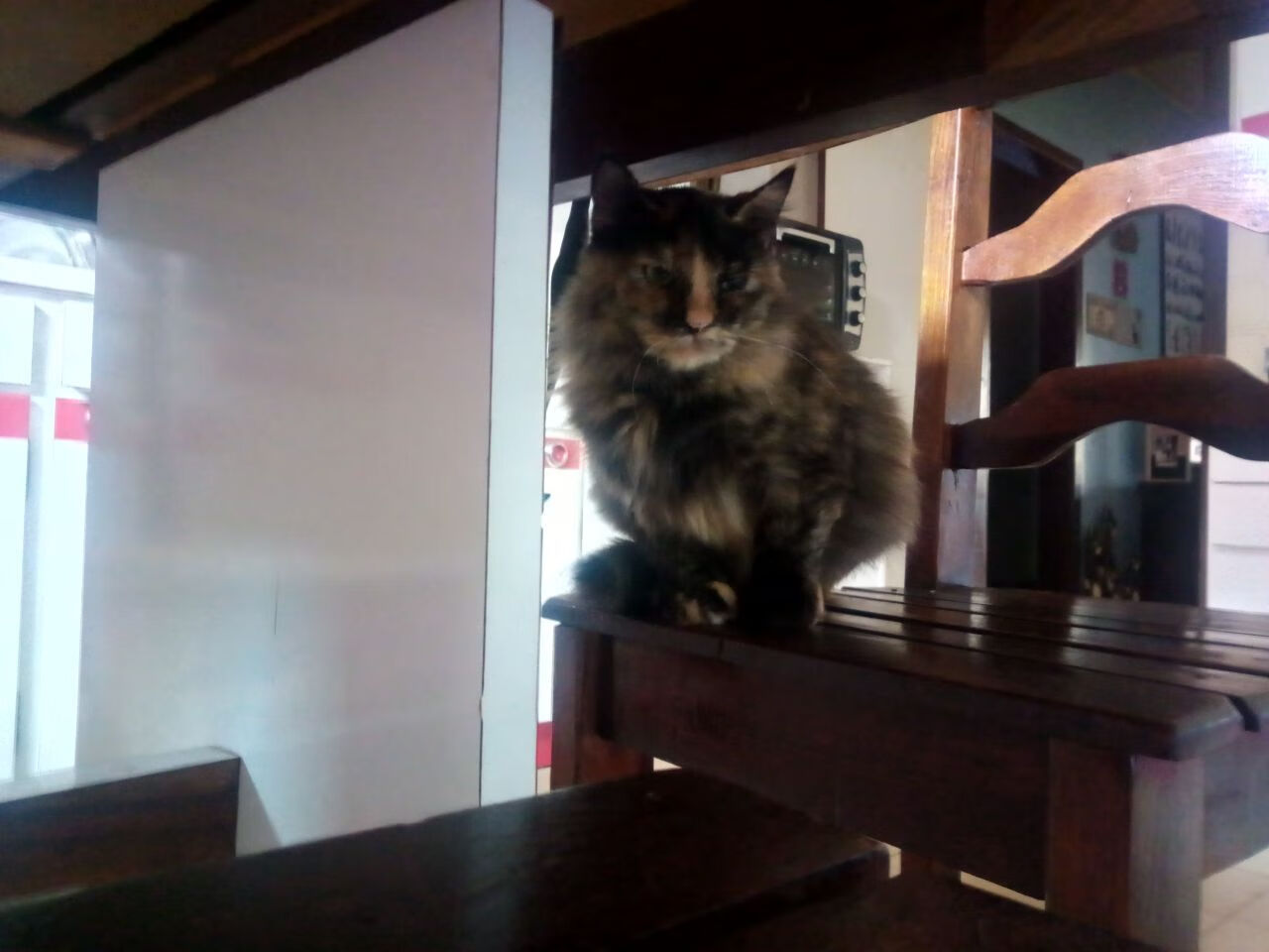 维尼修斯爆发助巴西狂胜,苏格兰生死战逆转阿尔及利亚